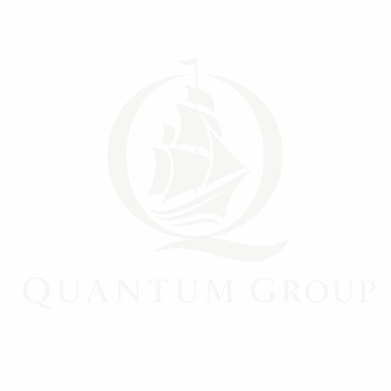 Quantum Group